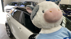 Kia Stonic 1.0T GDi 48V Connect 5dr DCT Petrol Estate